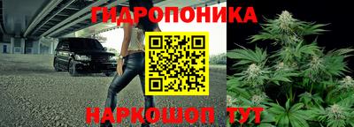 винт Гусь-Хрустальный