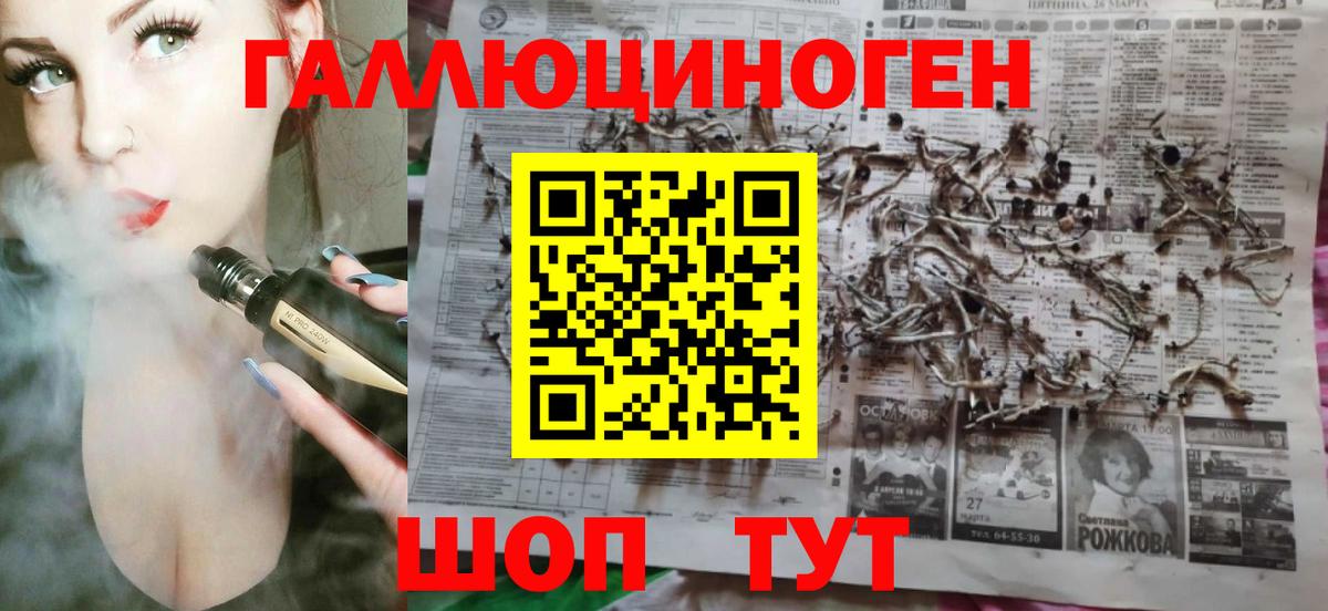 Псилоцибиновые грибы мицелий Калининград