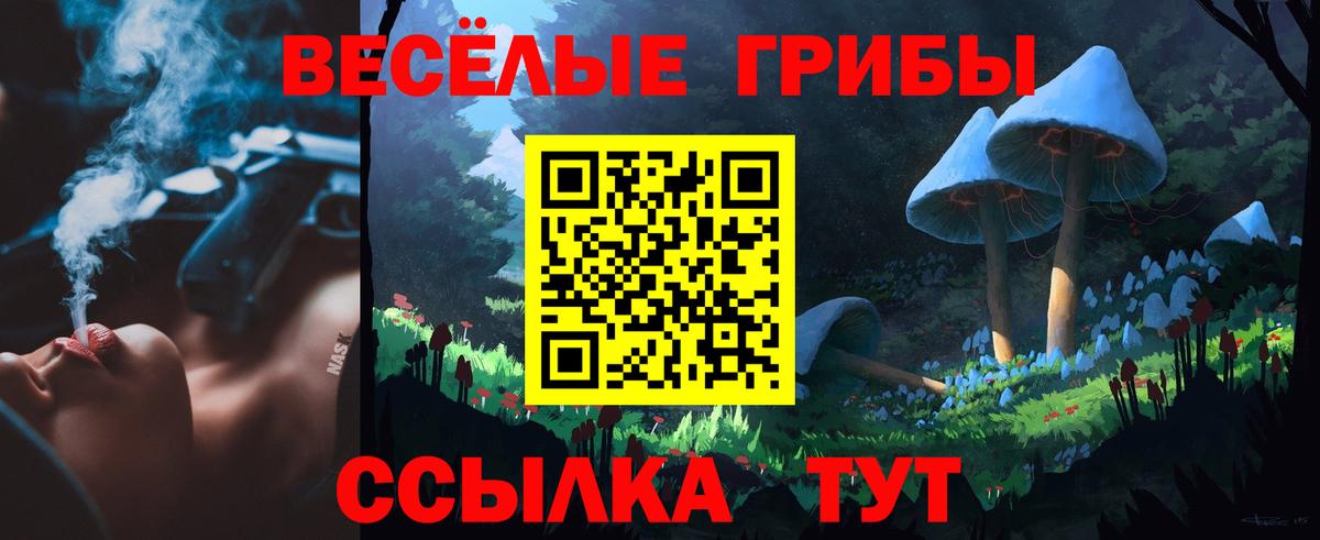 Калининград  Галлюциногенные грибы прущие грибы  Вход с VPN 